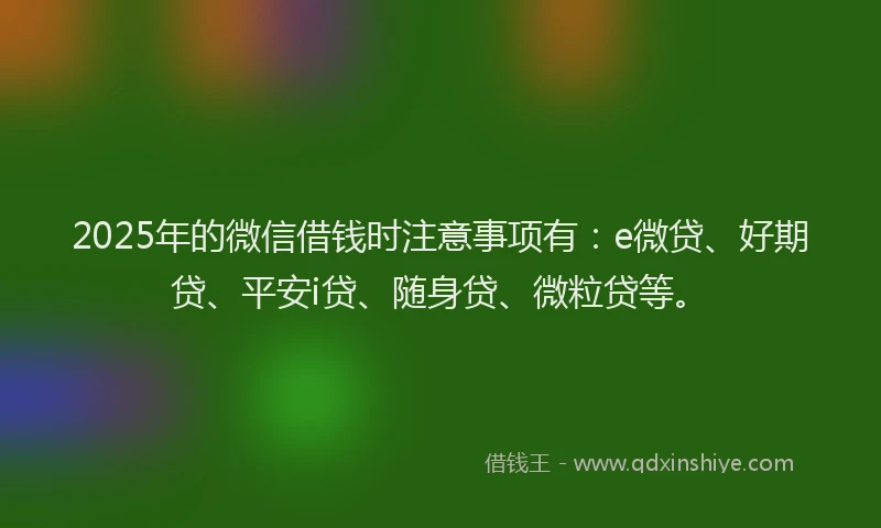 2025年的微信借钱时注意事项有：e微贷、好期贷、平安i贷、随身贷、微粒贷等。