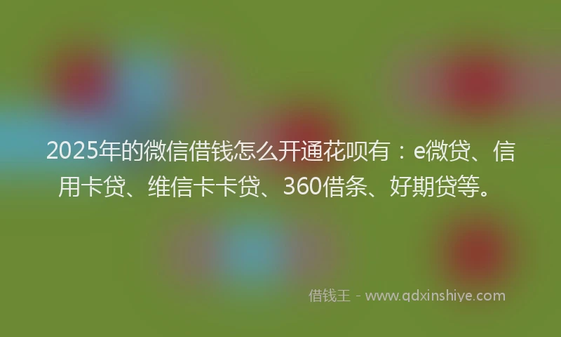 2025年的微信借钱怎么开通花呗有：e微贷、信用卡贷、维信卡卡贷、360借条、好期贷等。