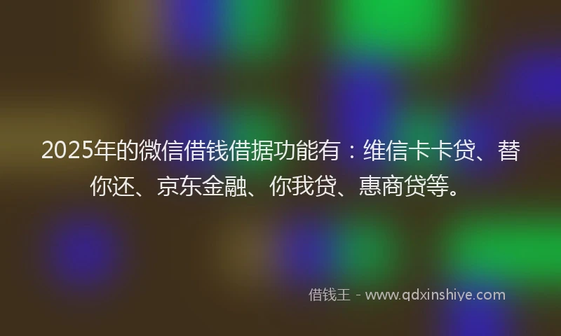 2025年的微信借钱借据功能有：维信卡卡贷、替你还、京东金融、你我贷、惠商贷等。