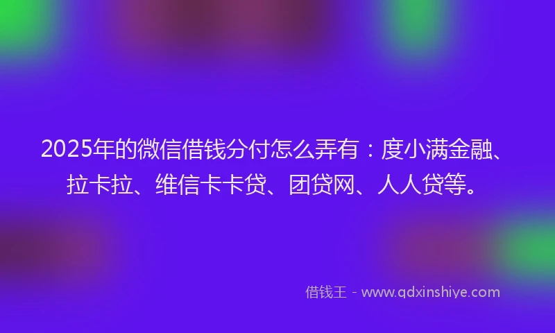 2025年的微信借钱分付怎么弄有：度小满金融、拉卡拉、维信卡卡贷、团贷网、人人贷等。