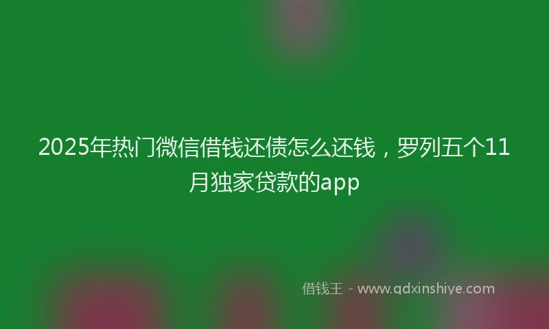 2025年热门微信借钱还债怎么还钱，罗列五个11月独家贷款的app