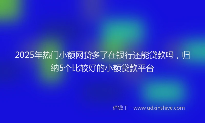 2025年热门小额网贷多了在银行还能贷款吗，归纳5个比较好的小额贷款平台