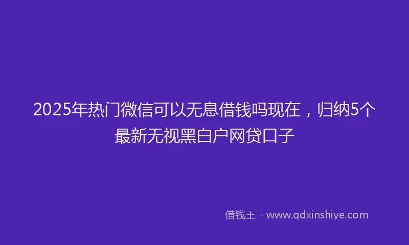 2025年热门微信可以无息借钱吗现在，归纳5个最新无视黑白户网贷口子
