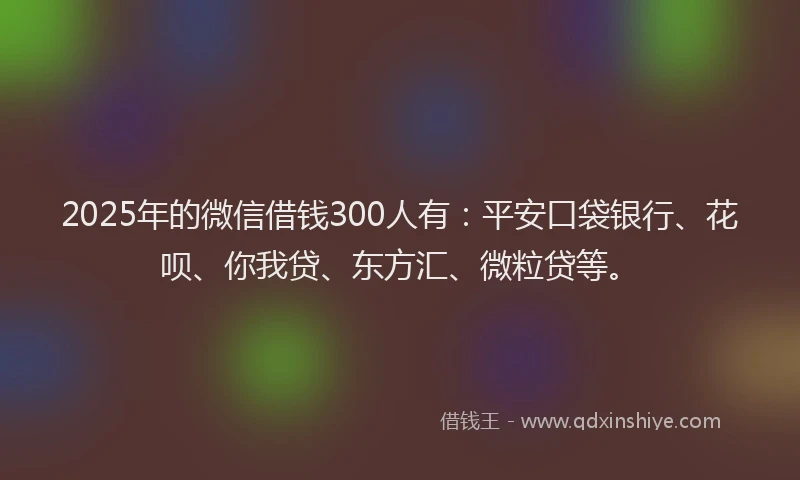 2025年的微信借钱300人有：平安口袋银行、花呗、你我贷、东方汇、微粒贷等。