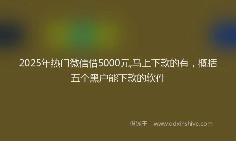 2025年热门微信借5000元,马上下款的有，概括五个黑户能下款的软件