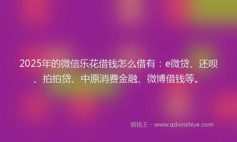 2025年的微信乐花借钱怎么借有：e微贷、还呗、拍拍贷、中原消费金融、微博借钱等。