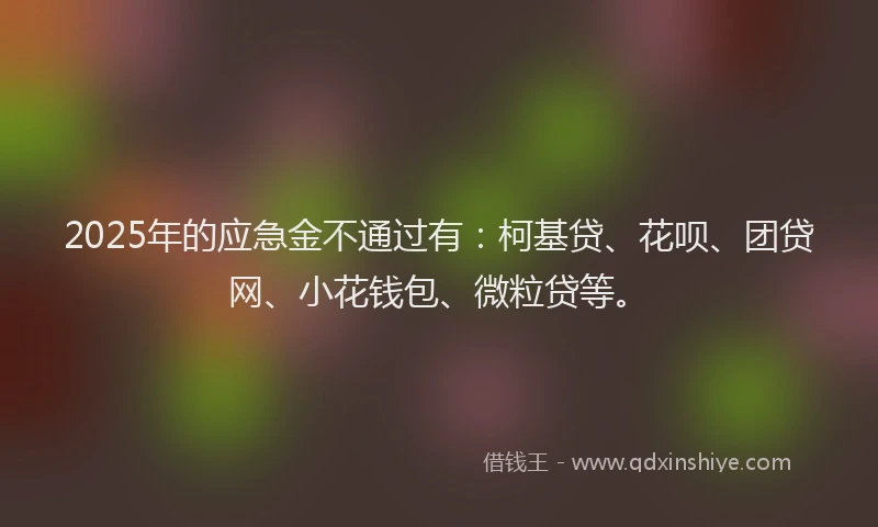 2025年的应急金不通过有：柯基贷、花呗、团贷网、小花钱包、微粒贷等。