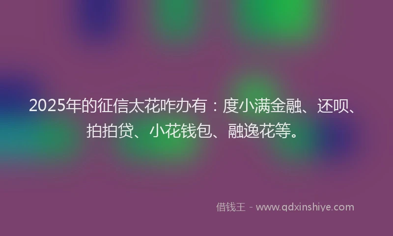 2025年的征信太花咋办有：度小满金融、还呗、拍拍贷、小花钱包、融逸花等。