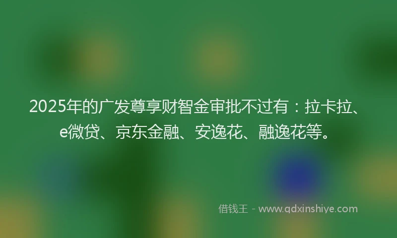 2025年的广发尊享财智金审批不过有：拉卡拉、e微贷、京东金融、安逸花、融逸花等。