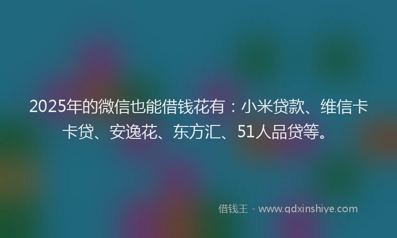 2025年的微信也能借钱花有：小米贷款、维信卡卡贷、安逸花、东方汇、51人品贷等。