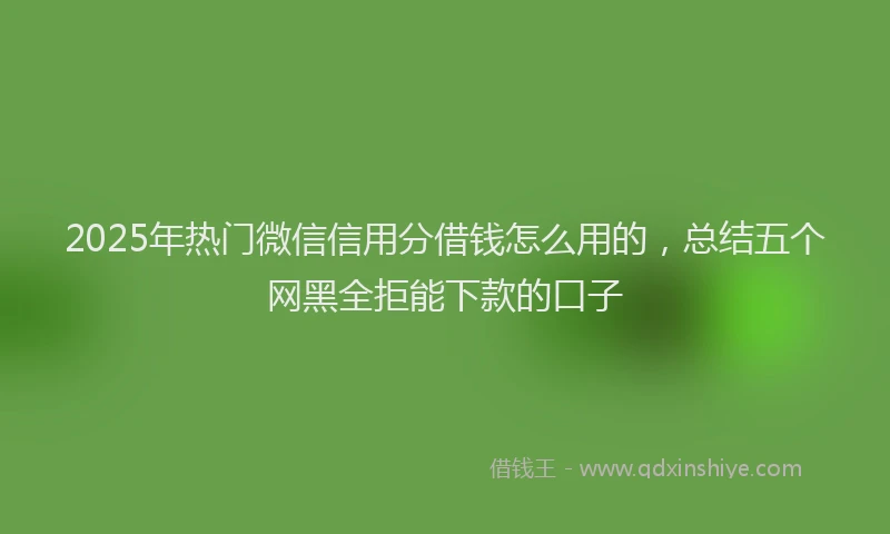 2025年热门微信信用分借钱怎么用的，总结五个网黑全拒能下款的口子