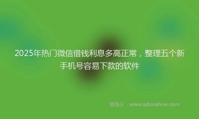 2025年热门微信借钱利息多高正常，整理五个新手机号容易下款的软件