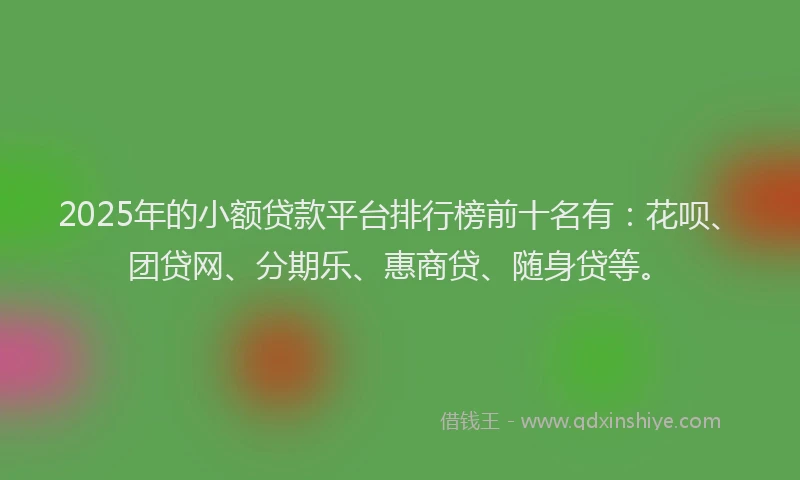 2025年的小额贷款平台排行榜前十名有：花呗、团贷网、分期乐、惠商贷、随身贷等。