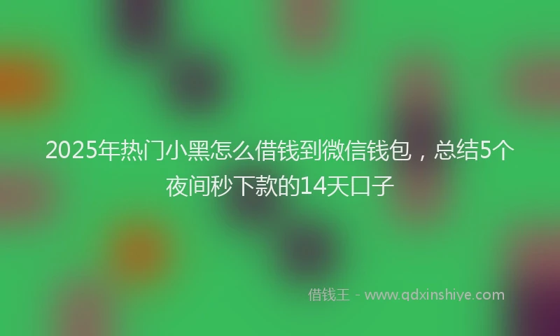2025年热门小黑怎么借钱到微信钱包，总结5个夜间秒下款的14天口子