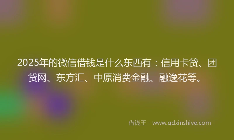 2025年的微信借钱是什么东西有：信用卡贷、团贷网、东方汇、中原消费金融、融逸花等。