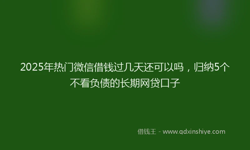 2025年热门微信借钱过几天还可以吗，归纳5个不看负债的长期网贷口子