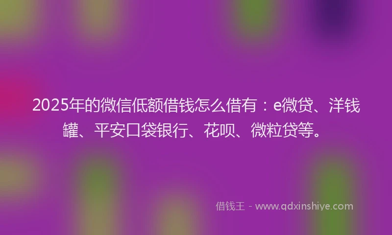2025年的微信低额借钱怎么借有：e微贷、洋钱罐、平安口袋银行、花呗、微粒贷等。