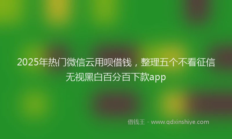 2025年热门微信云用呗借钱，整理五个不看征信无视黑白百分百下款app