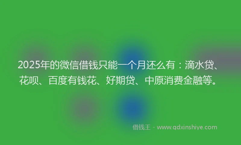 2025年的微信借钱只能一个月还么有：滴水贷、花呗、百度有钱花、好期贷、中原消费金融等。