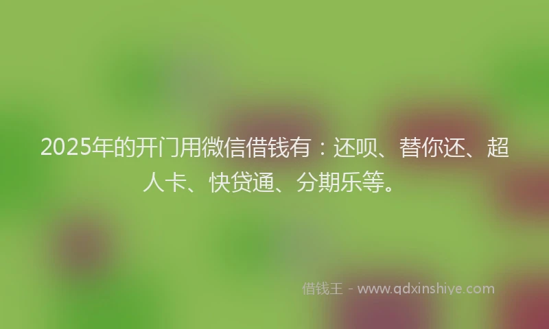 2025年的开门用微信借钱有：还呗、替你还、超人卡、快贷通、分期乐等。