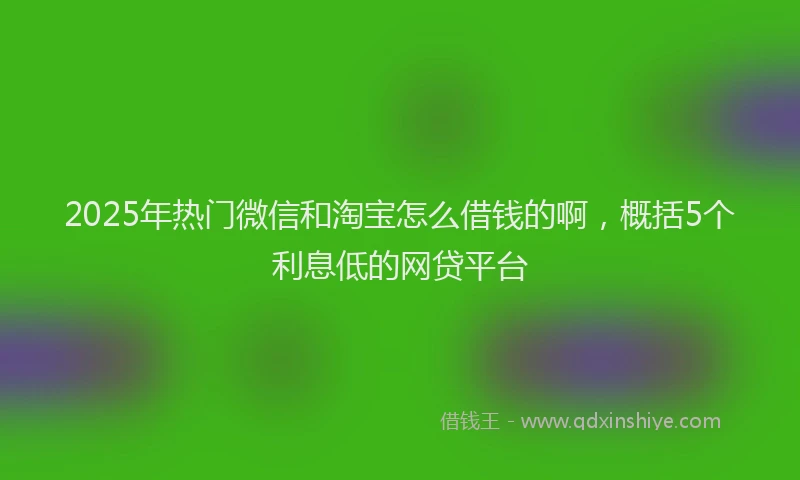 2025年热门微信和淘宝怎么借钱的啊，概括5个利息低的网贷平台