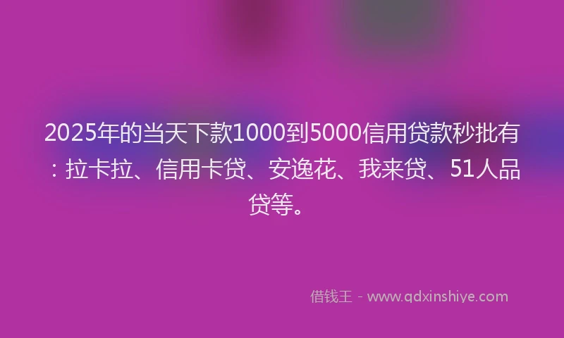 2025年的当天下款1000到5000信用贷款秒批有：拉卡拉、信用卡贷、安逸花、我来贷、51人品贷等。