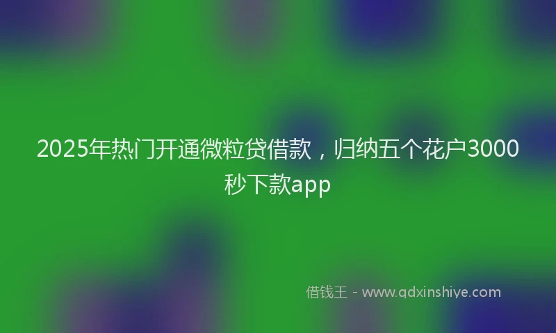 2025年热门开通微粒贷借款，归纳五个花户3000秒下款app