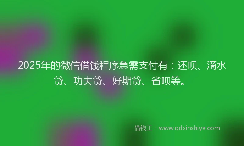 2025年的微信借钱程序急需支付有：还呗、滴水贷、功夫贷、好期贷、省呗等。