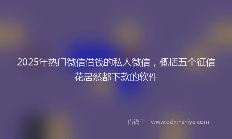 2025年热门微信借钱的私人微信，概括五个征信花居然都下款的软件