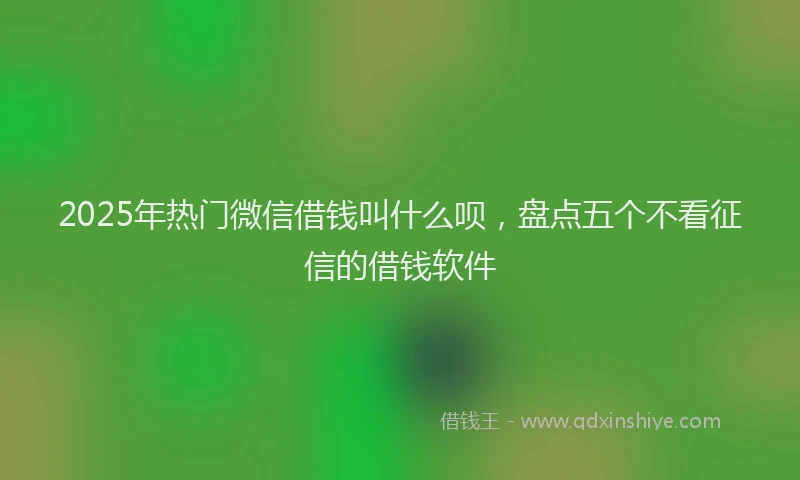 2025年热门微信借钱叫什么呗，盘点五个不看征信的借钱软件