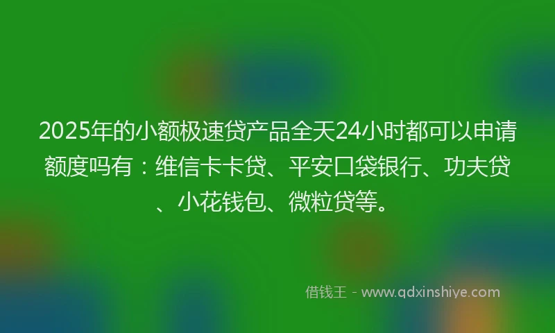 2025年的小额极速贷产品全天24小时都可以申请额度吗有：维信卡卡贷、平安口袋银行、功夫贷、小花钱包、微粒贷等。