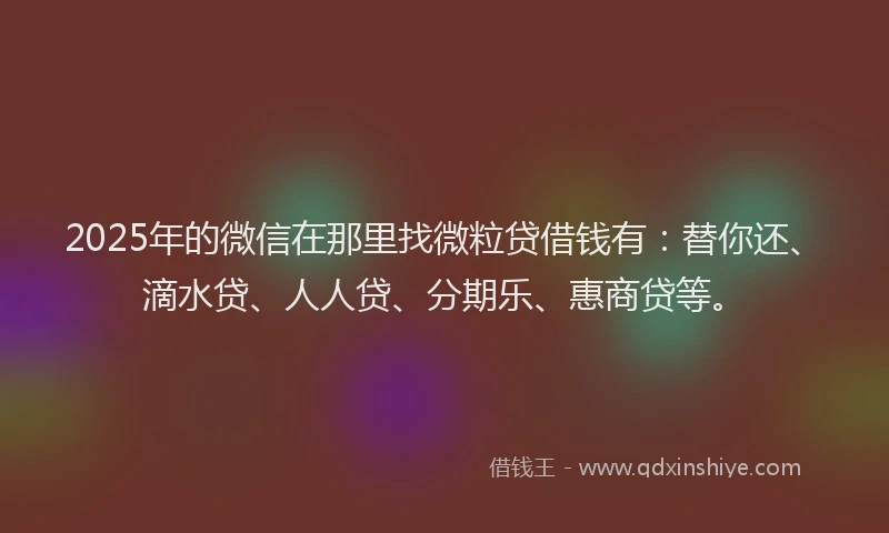 2025年的微信在那里找微粒贷借钱有：替你还、滴水贷、人人贷、分期乐、惠商贷等。