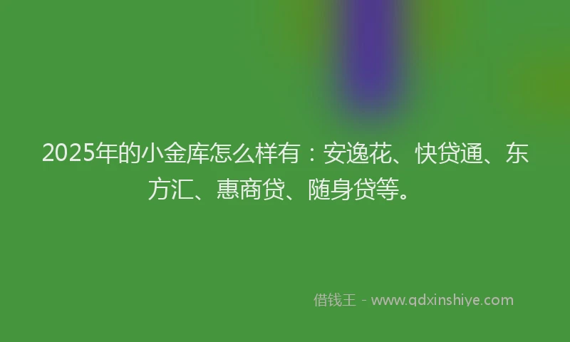 2025年的小金库怎么样有：安逸花、快贷通、东方汇、惠商贷、随身贷等。