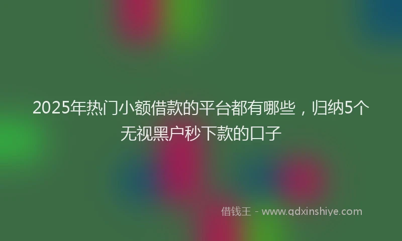 2025年热门小额借款的平台都有哪些，归纳5个无视黑户秒下款的口子