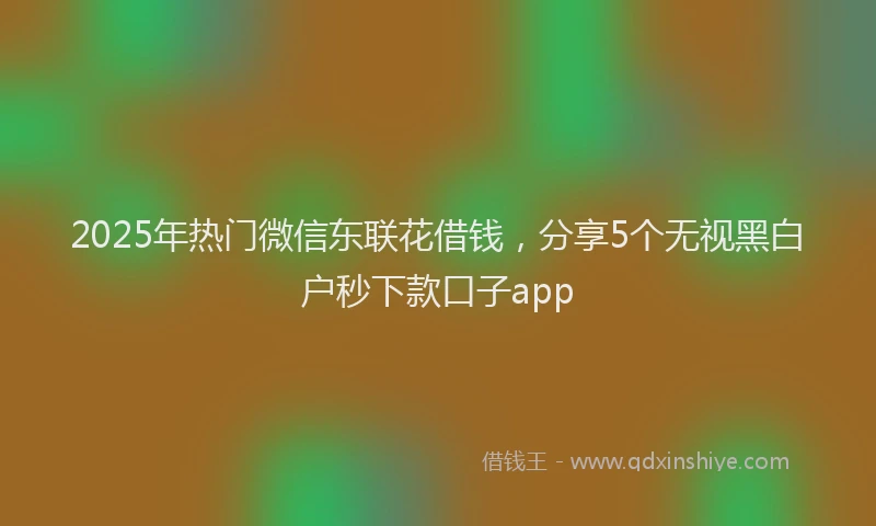 2025年热门微信东联花借钱，分享5个无视黑白户秒下款口子app