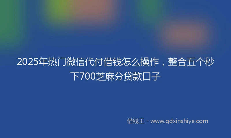 2025年热门微信代付借钱怎么操作，整合五个秒下700芝麻分贷款口子