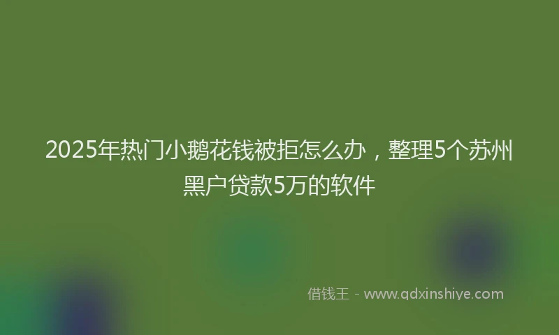2025年热门小鹅花钱被拒怎么办，整理5个苏州黑户贷款5万的软件