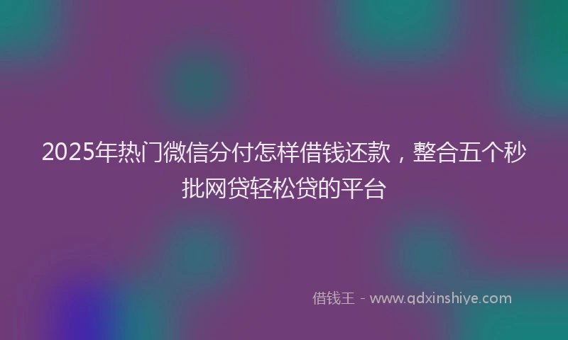 2025年热门微信分付怎样借钱还款，整合五个秒批网贷轻松贷的平台