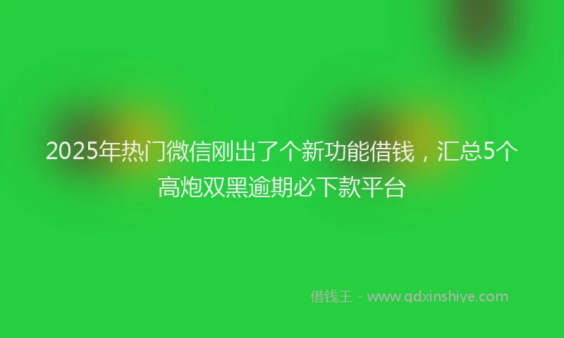 2025年热门微信刚出了个新功能借钱，汇总5个高炮双黑逾期必下款平台