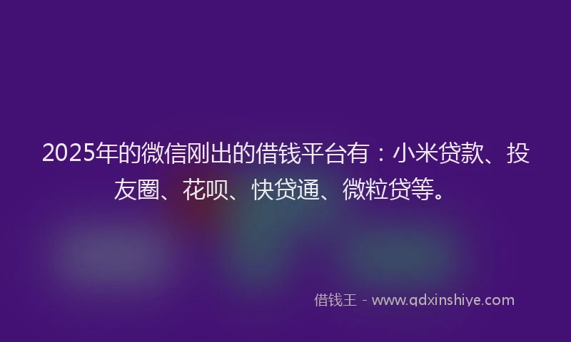 2025年的微信刚出的借钱平台有：小米贷款、投友圈、花呗、快贷通、微粒贷等。