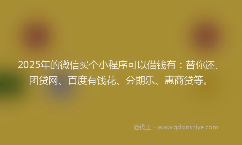 2025年的微信买个小程序可以借钱有：替你还、团贷网、百度有钱花、分期乐、惠商贷等。