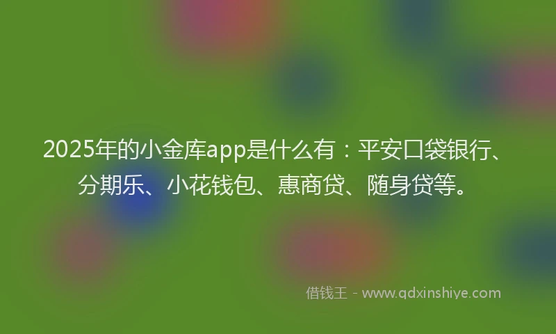 2025年的小金库app是什么有：平安口袋银行、分期乐、小花钱包、惠商贷、随身贷等。