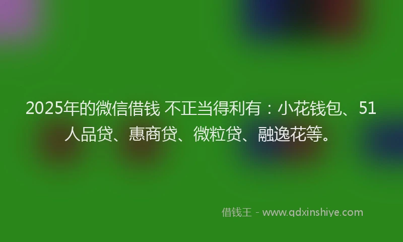 2025年的微信借钱 不正当得利有：小花钱包、51人品贷、惠商贷、微粒贷、融逸花等。