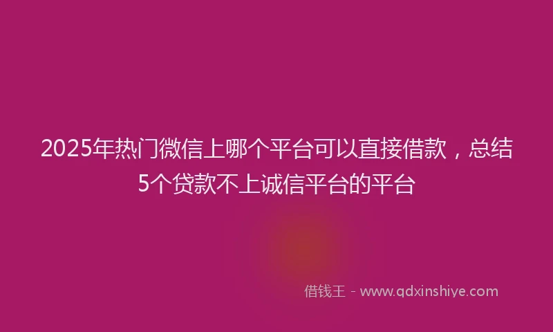 2025年热门微信上哪个平台可以直接借款，总结5个贷款不上诚信平台的平台