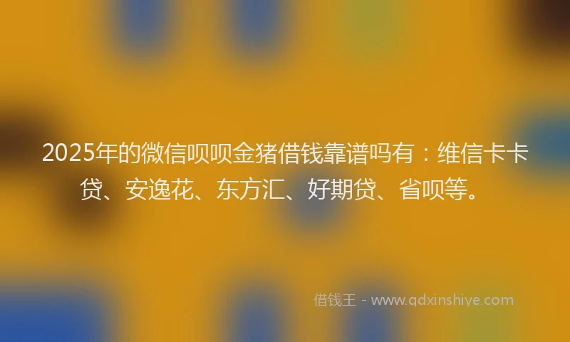 2025年的微信呗呗金猪借钱靠谱吗有：维信卡卡贷、安逸花、东方汇、好期贷、省呗等。