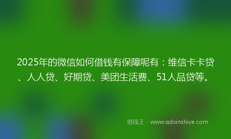 2025年的微信如何借钱有保障呢有：维信卡卡贷、人人贷、好期贷、美团生活费、51人品贷等。