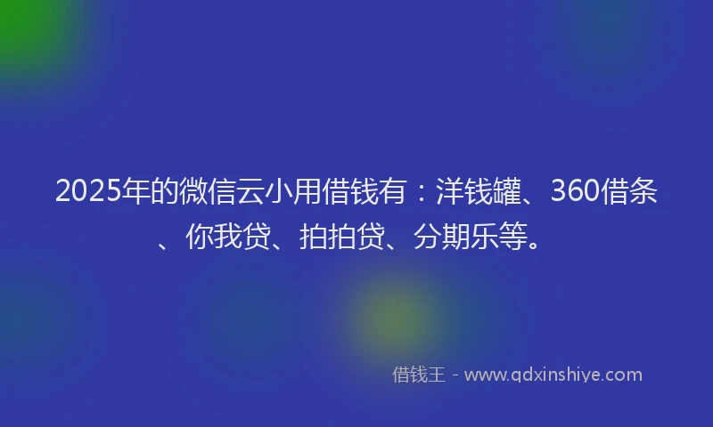 2025年的微信云小用借钱有：洋钱罐、360借条、你我贷、拍拍贷、分期乐等。
