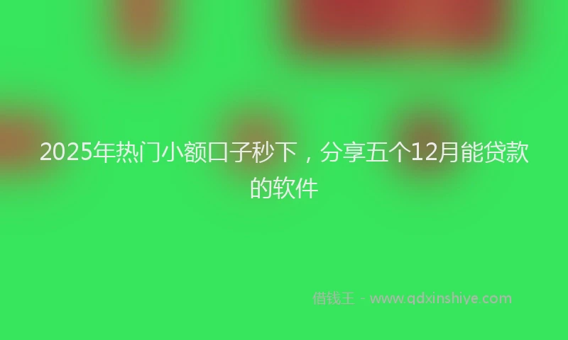 2025年热门小额口子秒下，分享五个12月能贷款的软件