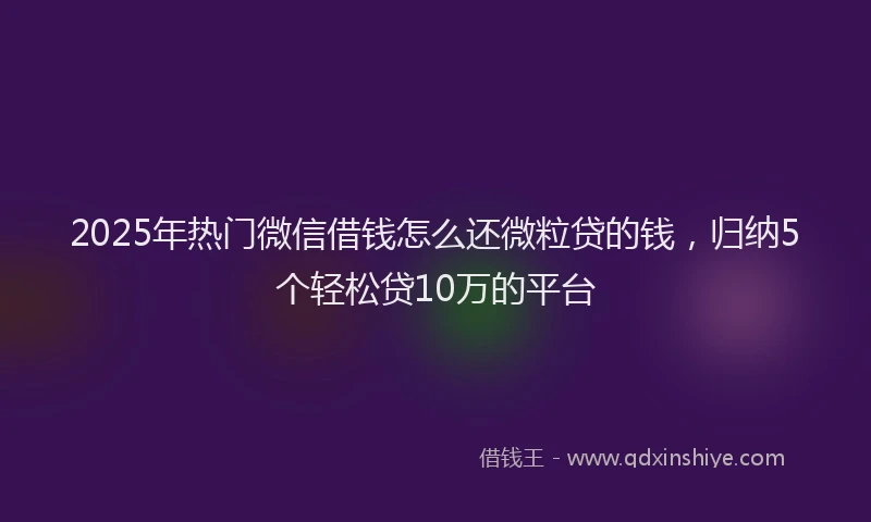 2025年热门微信借钱怎么还微粒贷的钱，归纳5个轻松贷10万的平台