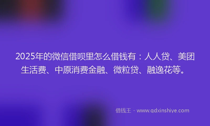 2025年的微信借呗里怎么借钱有：人人贷、美团生活费、中原消费金融、微粒贷、融逸花等。